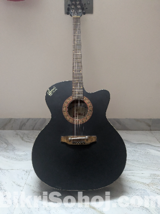 guitar